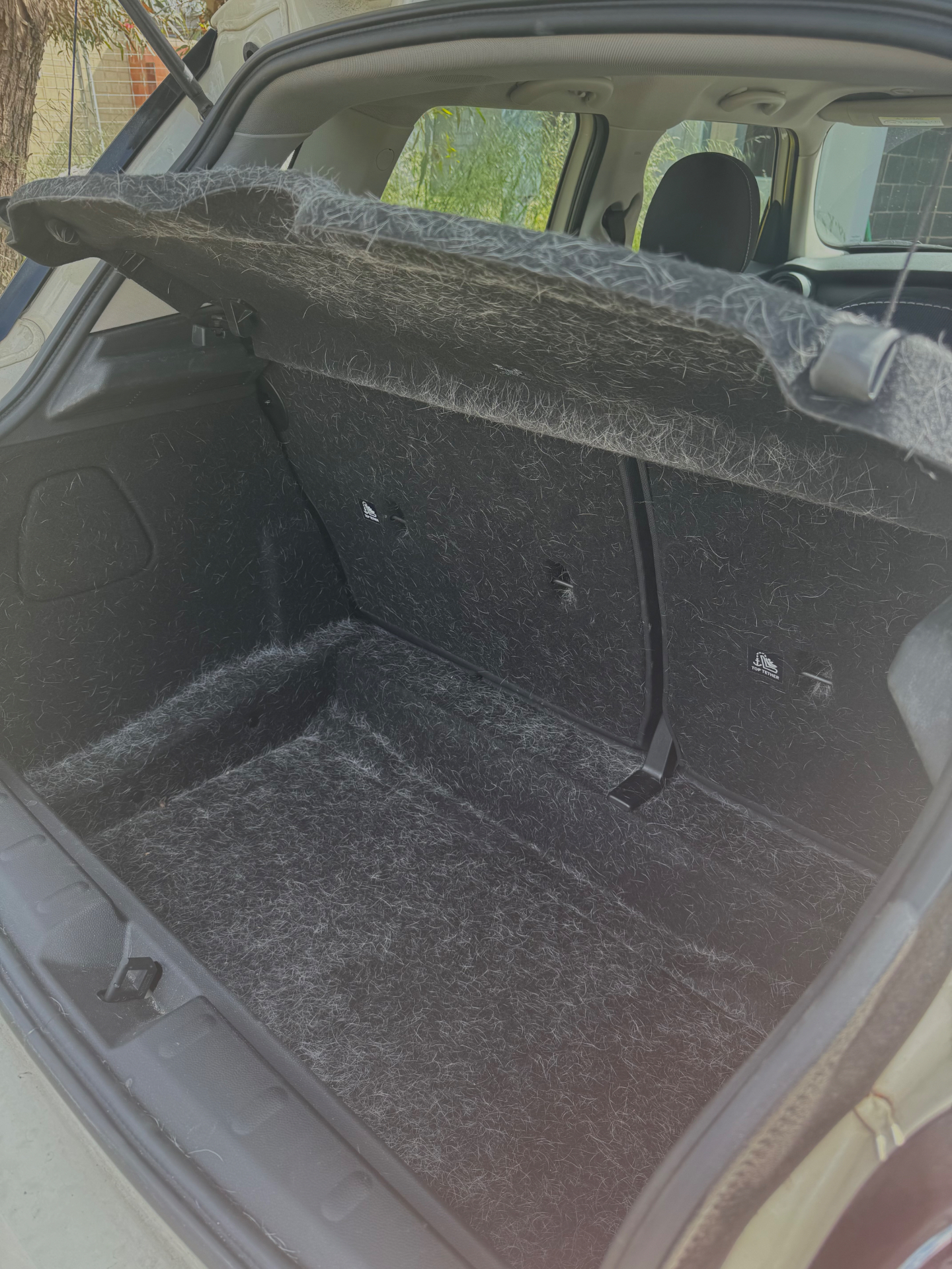 Boot — deep pet hair removal before