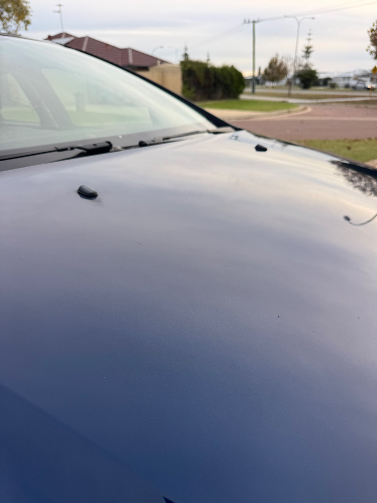 Paint correction — gloss & clarity restored after