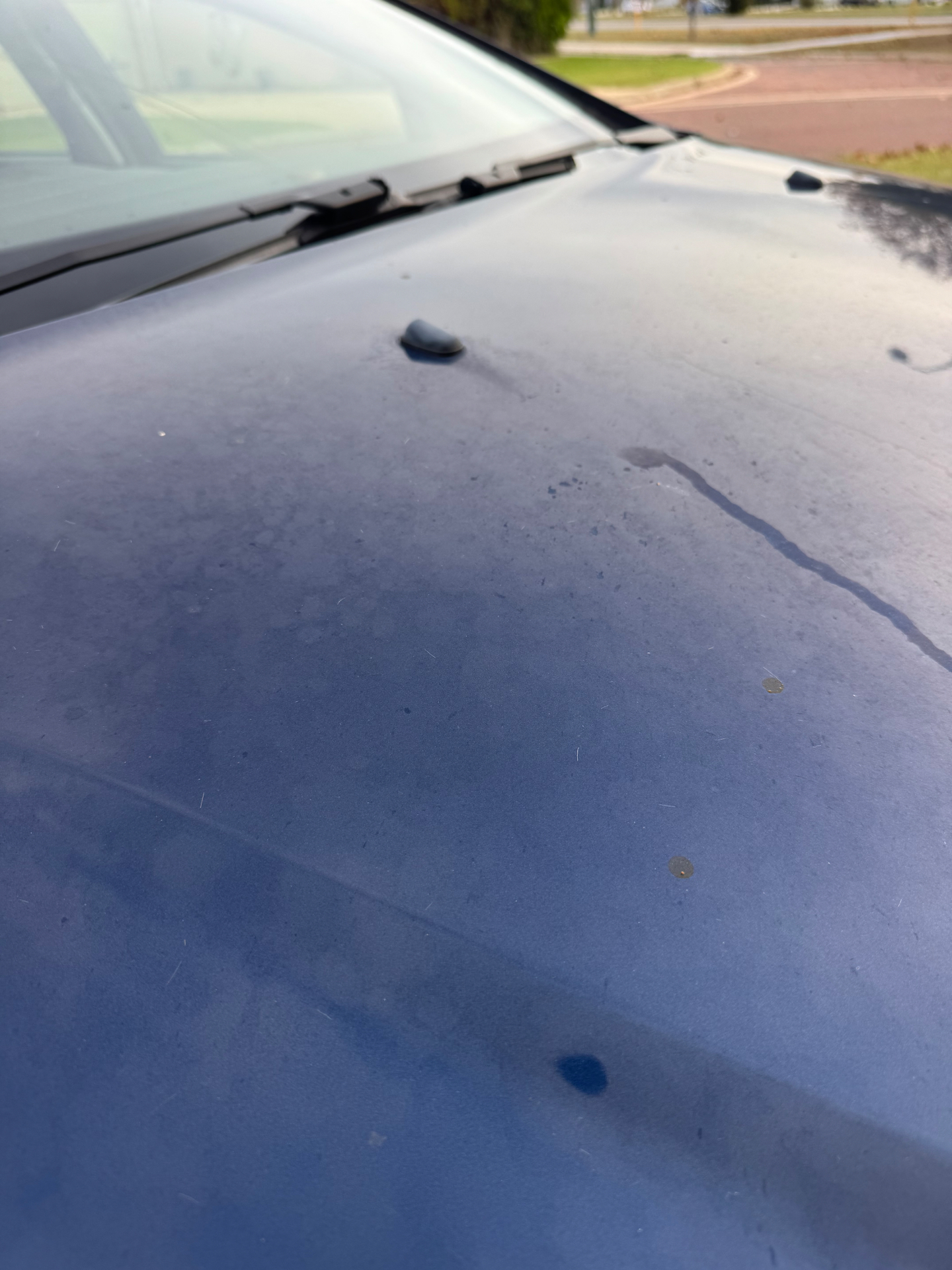 Paint correction — gloss & clarity restored before